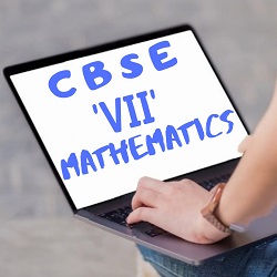 CBSE VII Mathematics